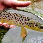 Appartement Luna's Mountain House -