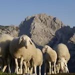 Luna's Mountain House - Appartement