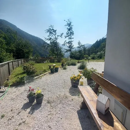 Luna's Mountain House - *