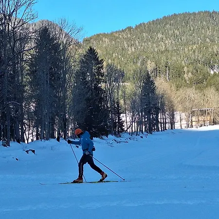 Luna's Mountain House - Apartman *