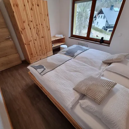 Apartman Luna's Mountain House - Zgornje Jezersko