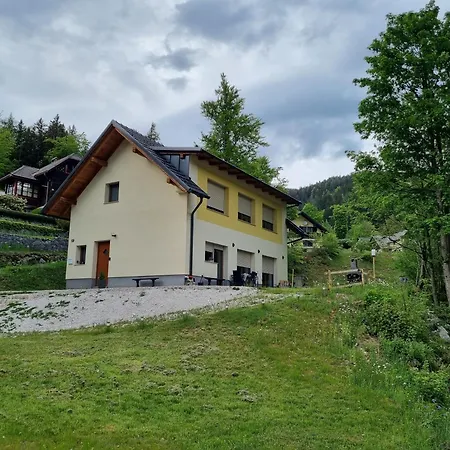 شقة Luna's Mountain House - زغورنجي جيزرسكو