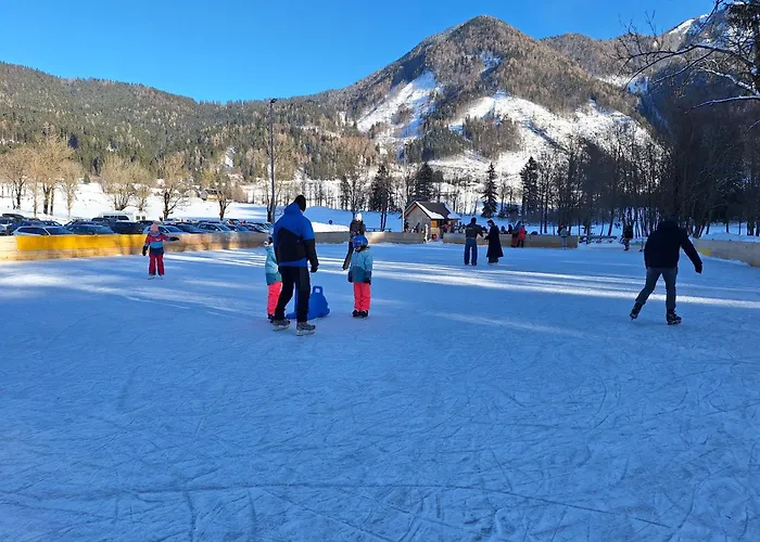 Apartman Luna's Mountain House - *